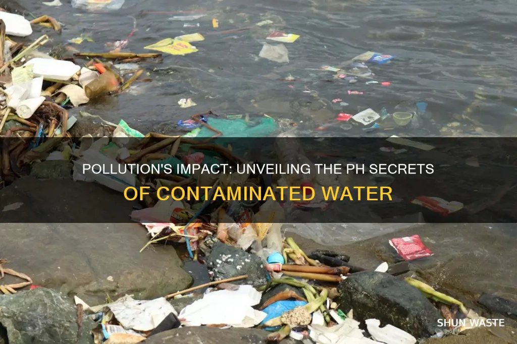 does pollution afect the ph of water