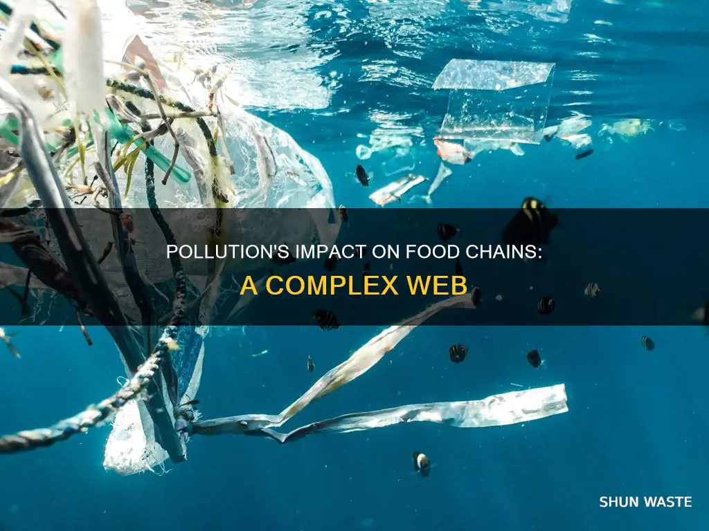 does pollution affect food chains