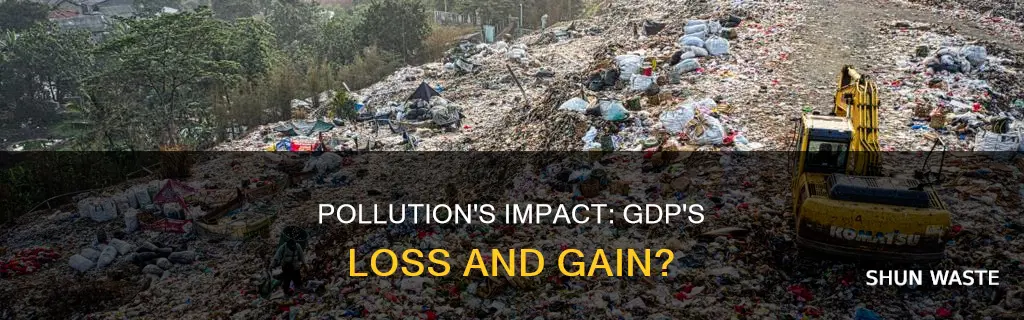 does pollution affect gdp