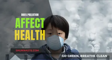 Pollution's Impact: Understanding Health Risks and Concerns