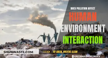 Pollution's Impact: Human-Environment Interaction and Health