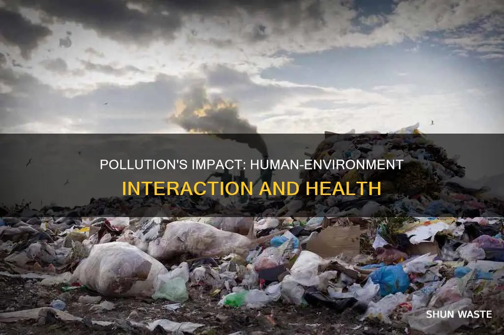 does pollution affect human environment interaction