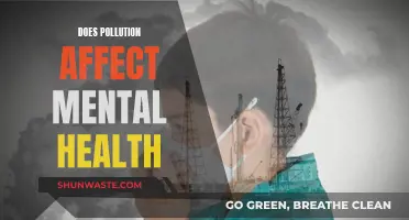 Pollution's Impact: Mental Health Consequences and Solutions