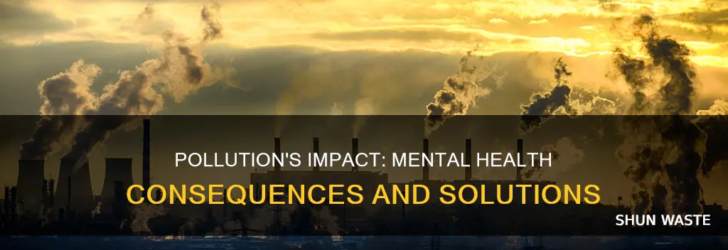 does pollution affect mental health