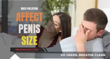 Pollution's Impact: Smaller Penis Sizes?