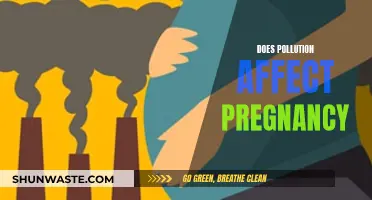 Pollution's Impact: Pregnancy and Birth Complications