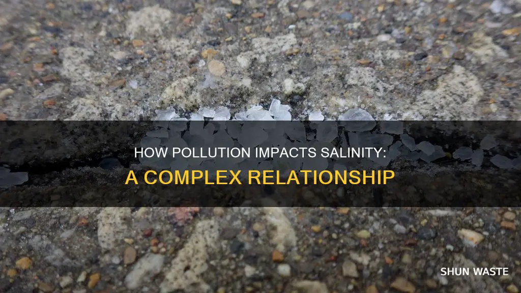 does pollution affect salinity