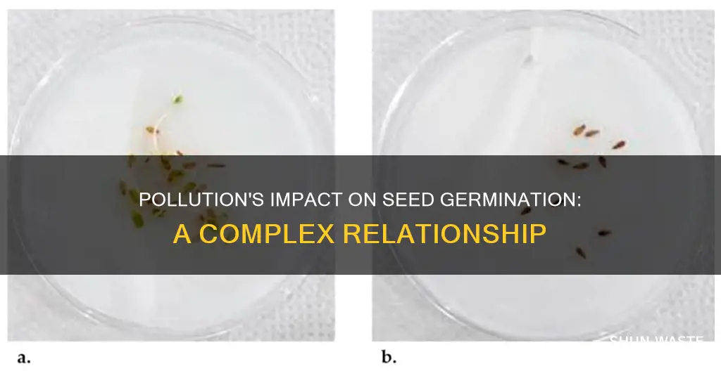 does pollution affect seed germination