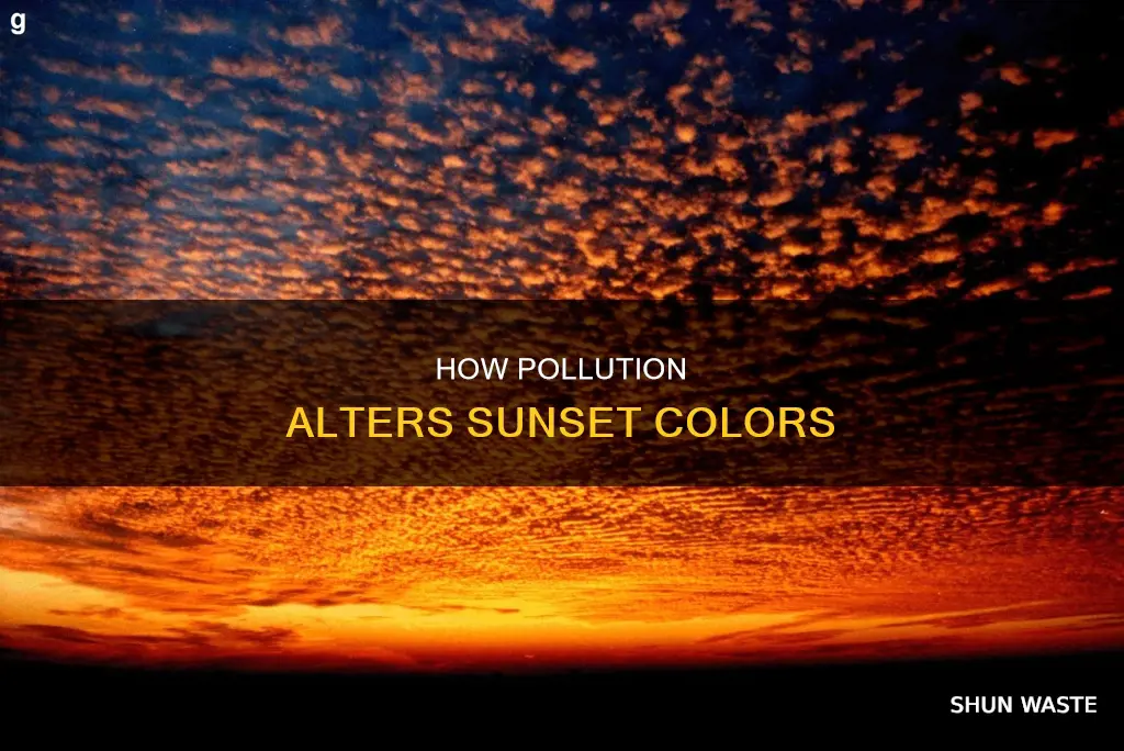 does pollution affect sunset colors