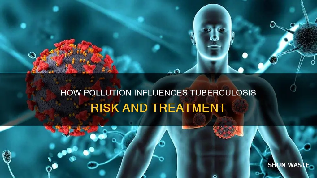 does pollution affect tb