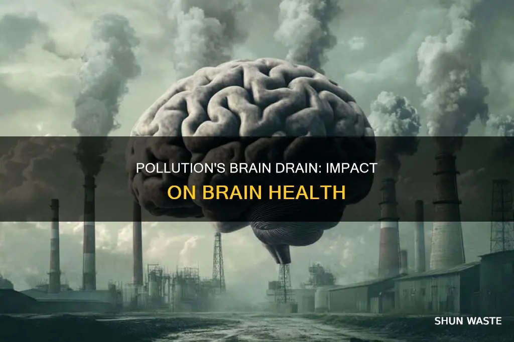 does pollution affect the brain