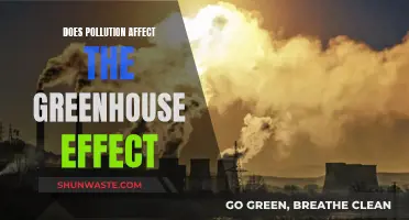 How Pollution Impacts the Greenhouse Effect