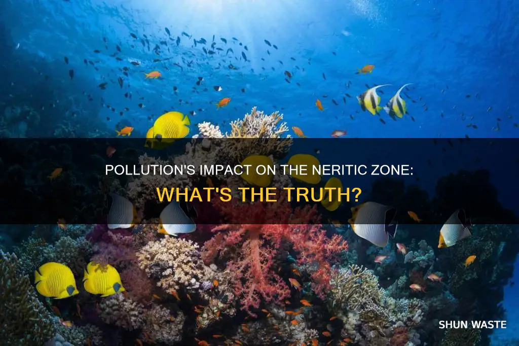 does pollution affect the neritic zone