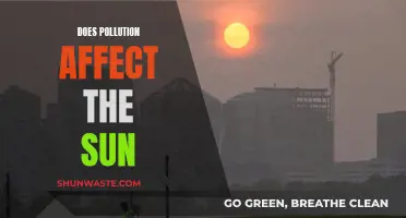 How Pollution Impacts the Sun's Rays and Effects