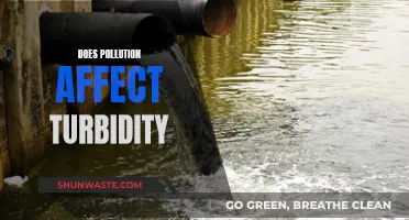 Pollution's Impact on Water Clarity and Turbidity