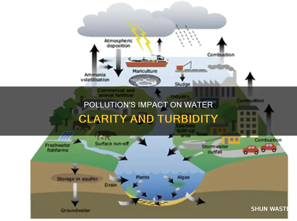 does pollution affect turbidity