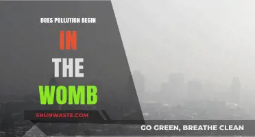 Pollution's Start: Womb or Birth?