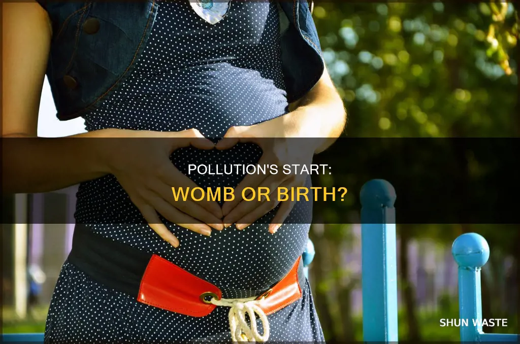 does pollution begin in the womb