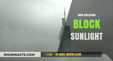 How Pollution Impacts Sunlight and Earth's Climate