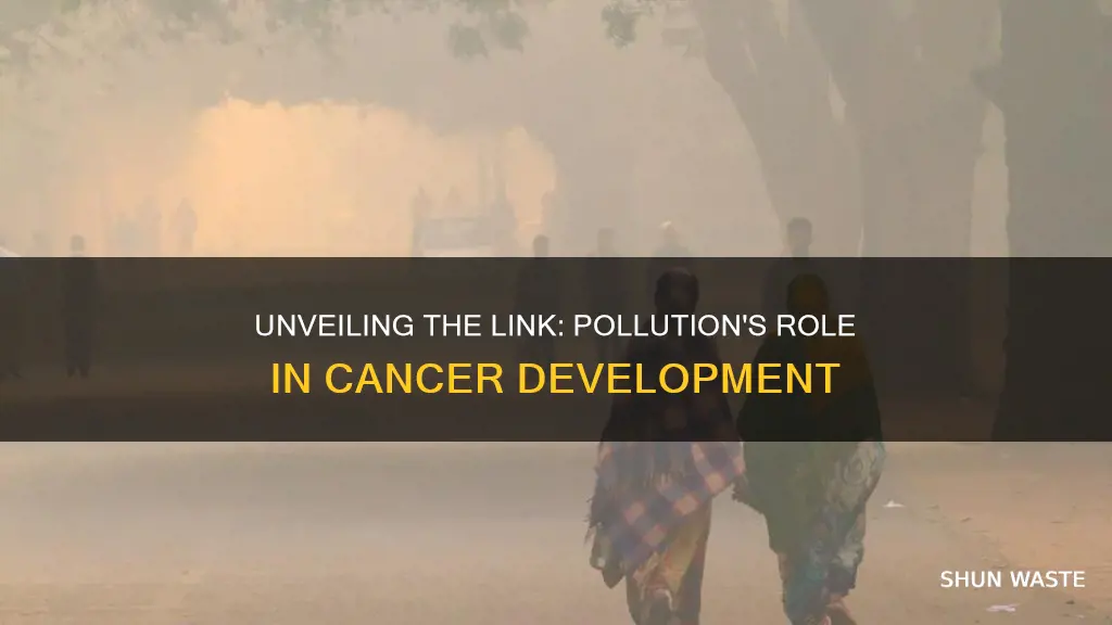 does pollution cause cancer