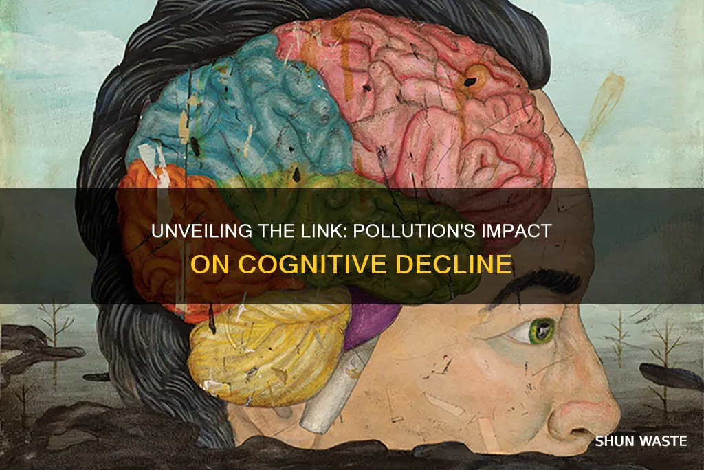 does pollution cause dementia