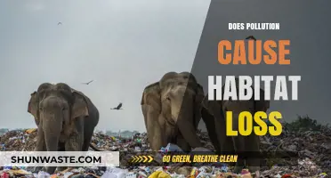 Pollution's Impact: Unveiling the Link to Habitat Destruction