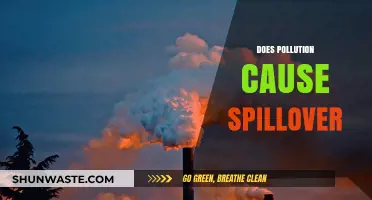 Pollution's Impact: Spillover Effects Unveiled