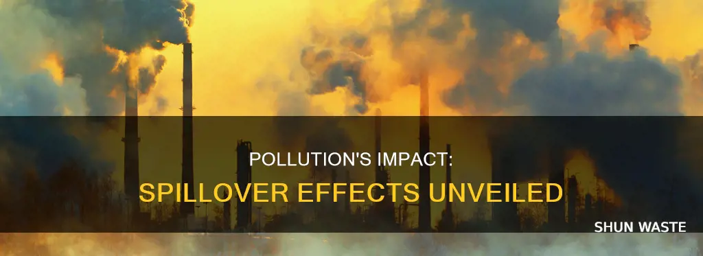 does pollution cause spillover