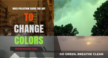 Pollution's Impact: Why the Sky's Colors Change