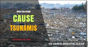 Pollution's Impact: Unraveling the Tsunami Mystery