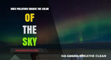 How Pollution Turns Our Skies Grey