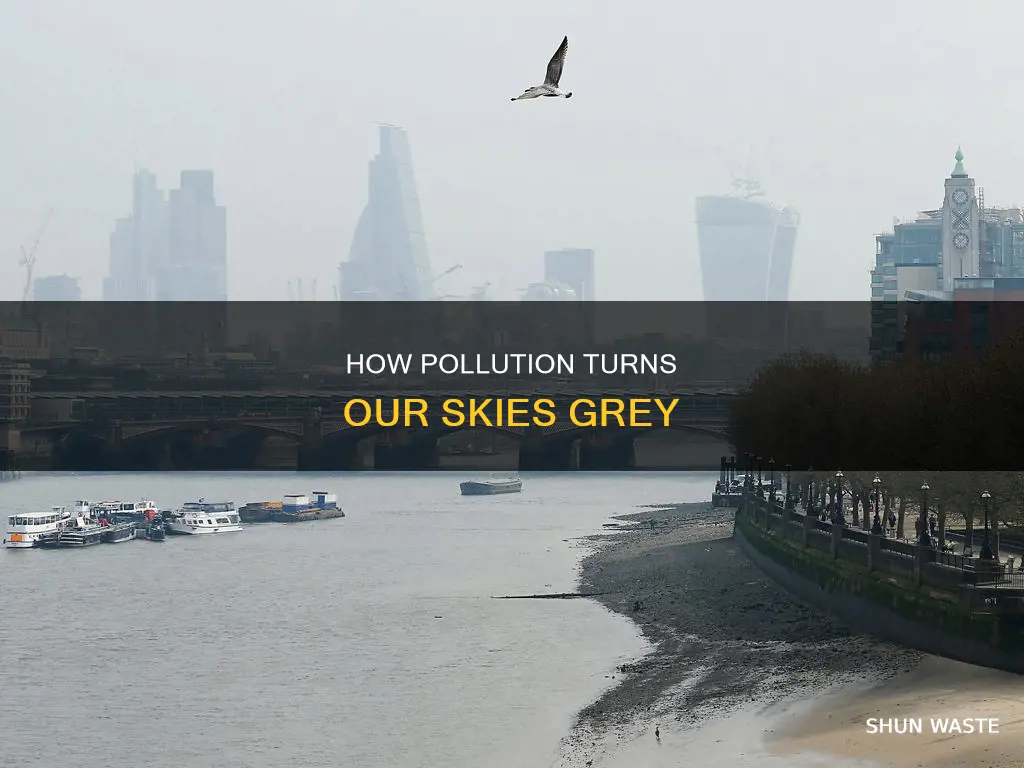 does pollution change the color of the sky