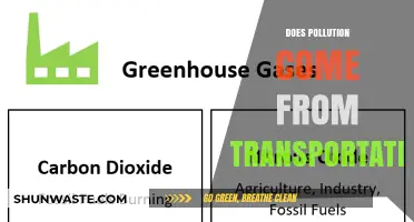 Transportation's Pollution Problem: What's the Real Cost?