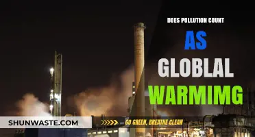Understanding the Link Between Pollution and Global Warming