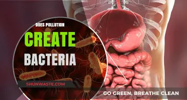 How Pollution Breeds Bacteria: A Complex Relationship