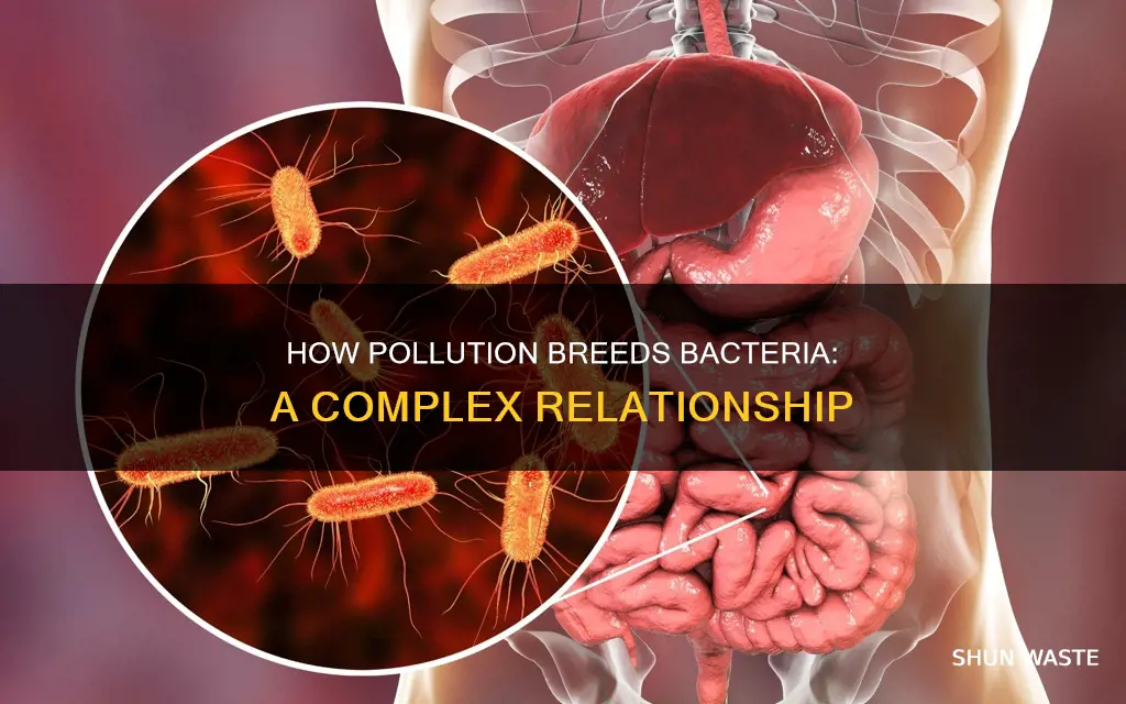 does pollution create bacteria