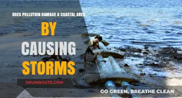 Pollution's Stormy Impact: Coastal Areas in Peril