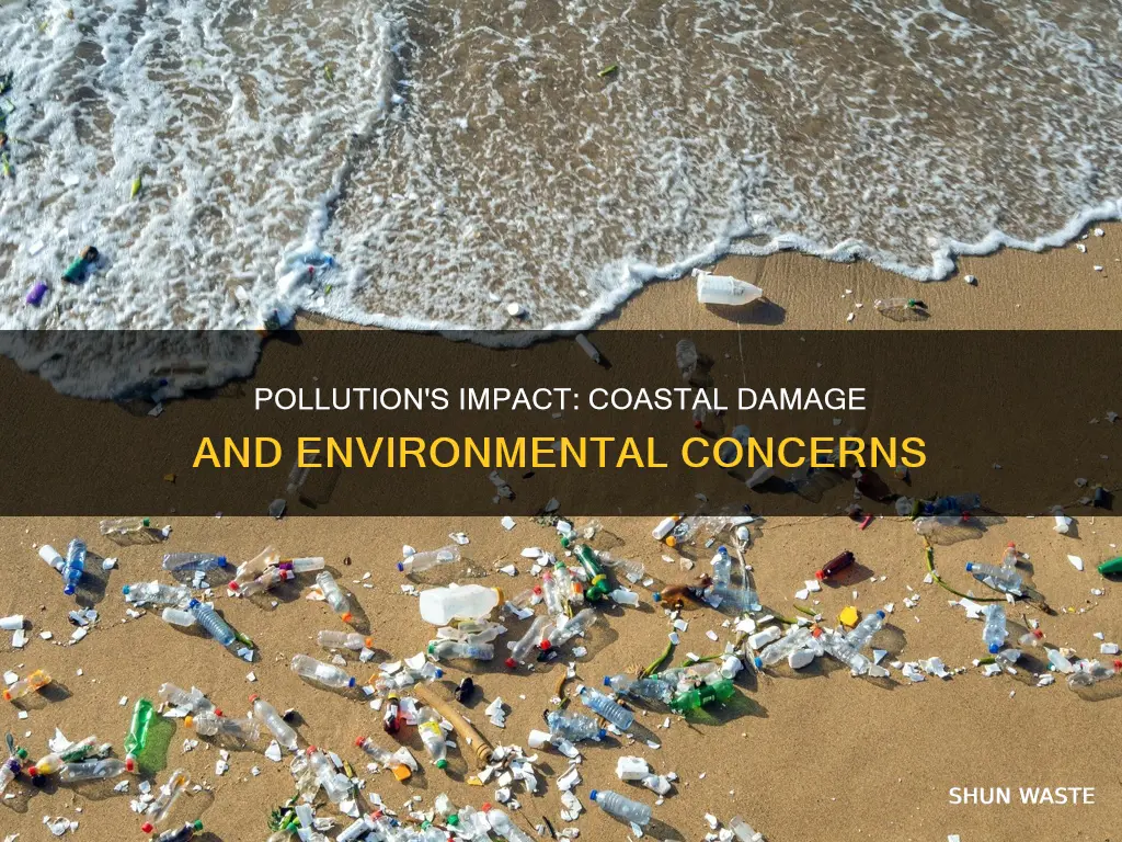 does pollution damage a coastal area by causing