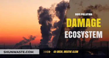 Pollution's Impact: Damaging Our Ecosystem