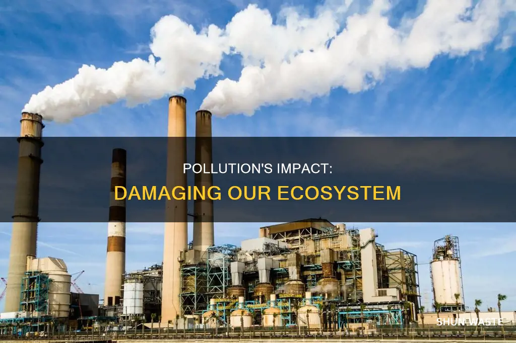 does pollution damage ecosystem
