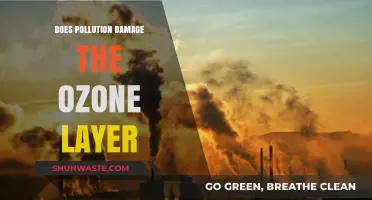 How Pollution Harms the Ozone Layer