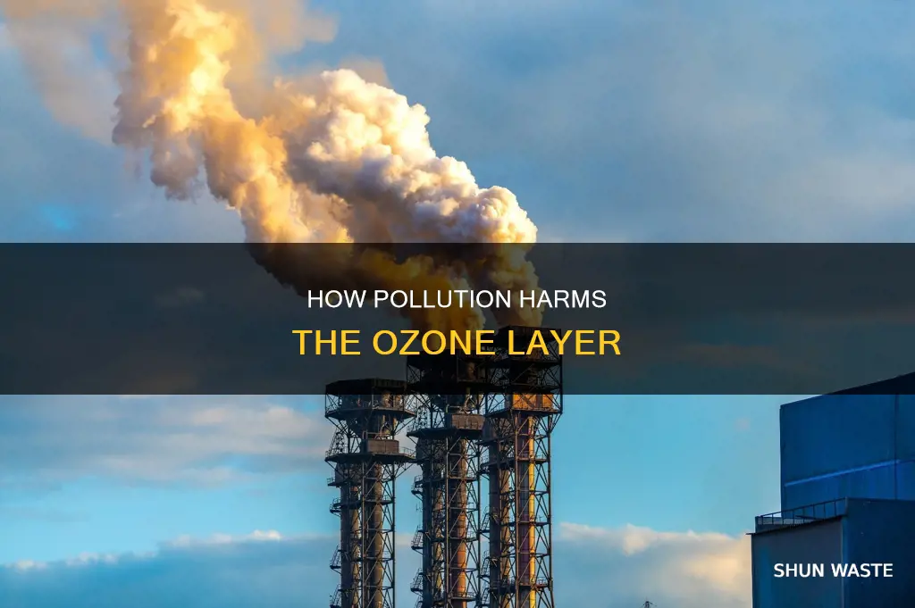 does pollution damage the ozone layer