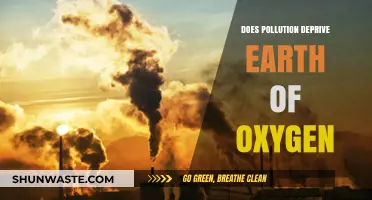 Pollution's Impact: Earth's Oxygen Loss