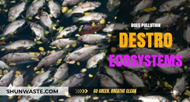 Pollution's Impact: Destroying Nature's Balance