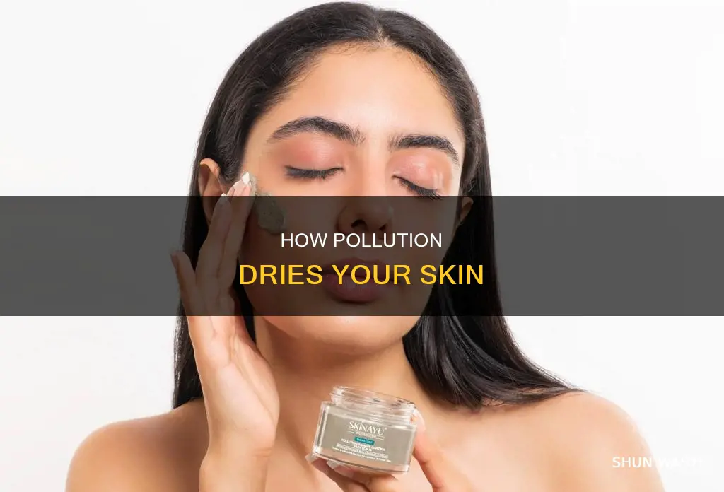 does pollution dry my skin