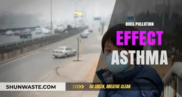 Air Pollution: Asthma's Worst Enemy