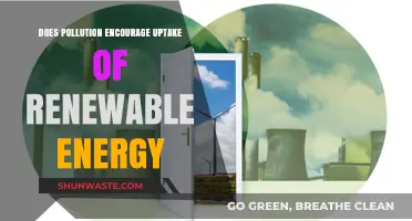 Pollution's Push: Renewable Energy's Rise