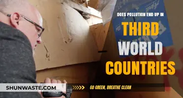 Pollution's Global Reach: Poor Nations Pay the Price
