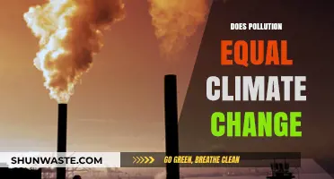 Pollution's Impact: Climate Change's Root Cause?