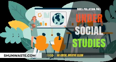 Pollution's Social Impact: Understanding the Human Geography
